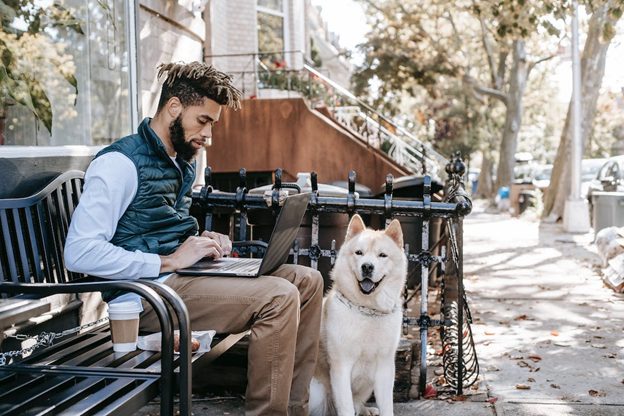 How to Work Remotely When You Have a Kitty or Canine Companion